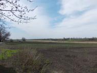 Червоний Орлик - Останні фото