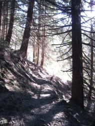 Завийка з panoramio.com