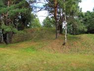 Костюхнівка з panoramio.com