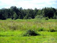 Рудка з panoramio.com