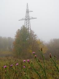 Майданецьке з panoramio.com - Maydanetske