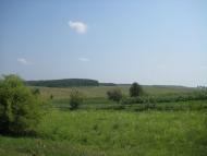 Поліське з panoramio.com