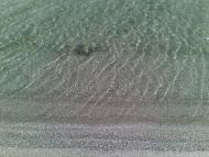 Кордон з panoramio.com