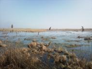 Нова Некрасівка з panoramio.com