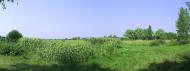 Мошни з panoramio.com - Moshny