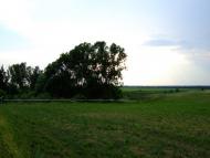 Мале з panoramio.com