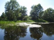 Хрещатик з panoramio.com - Крещатик