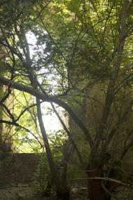 Снігурівка - Останні фото