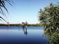 Ларине - Останні фото