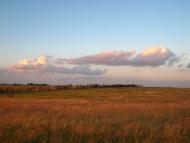 Мала Мартинівка з panoramio.com