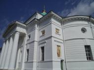 Ромашки з panoramio.com