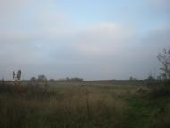 Левадки з panoramio.com