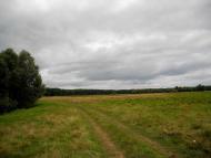 Купчичі з panoramio.com