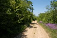Красна Зоря з panoramio.com