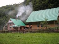 Осій з panoramio.com