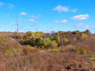 Данилове з panoramio.com