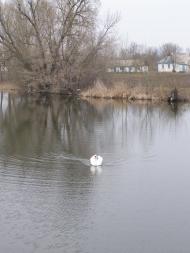 Веселівка з panoramio.com