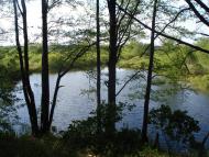 Семки з panoramio.com