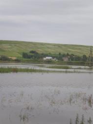 Журів з panoramio.com - Журов
