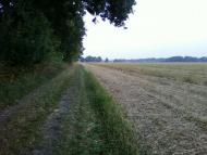 Рівнинне з panoramio.com