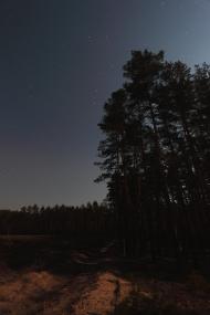 Курортне з panoramio.com