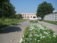 Поліське з panoramio.com