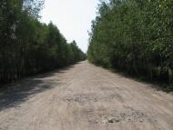 Рудня-Гацьківка з panoramio.com