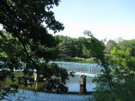 Зелений Гай з panoramio.com