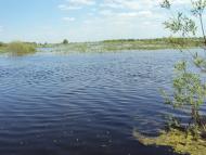 Карпилівка з panoramio.com