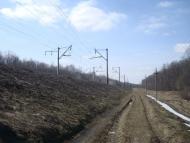 Коричинці з panoramio.com