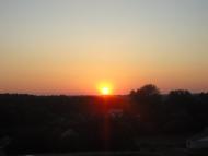 Дрозди з panoramio.com