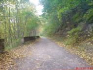 Скоморохи з panoramio.com