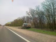 Gayove - Latest photos