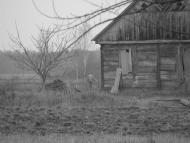 Романів з panoramio.com