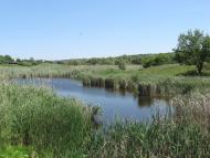 Придніпрянське з panoramio.com