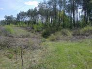 Собичеве з panoramio.com