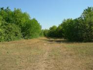 Пересадівка з panoramio.com