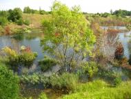 Берестовець з panoramio.com