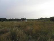 Гожули з panoramio.com