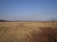 Радецька Болярка з panoramio.com