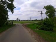 Шепелівка з panoramio.com