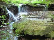 Скоморохи з panoramio.com