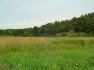 Семки з panoramio.com