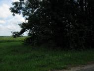 Ракова з panoramio.com