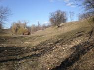 Кищенці з panoramio.com