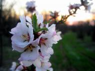 Ключове з panoramio.com