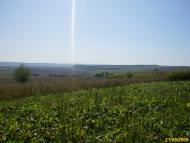 Тростянці з panoramio.com