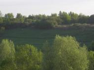 Єлизаветівка з panoramio.com