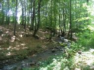 Обава з panoramio.com