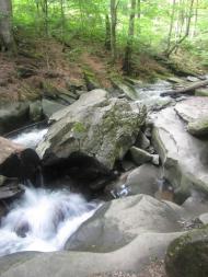 Лумшори з panoramio.com